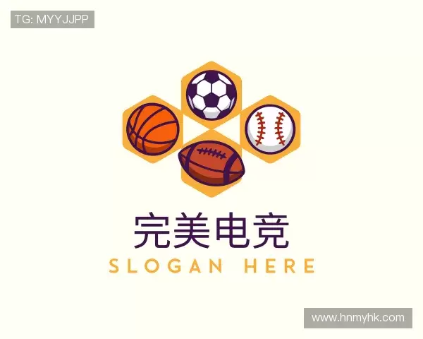 关于完美对战平台官网